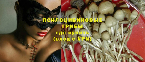 мдпв Липки