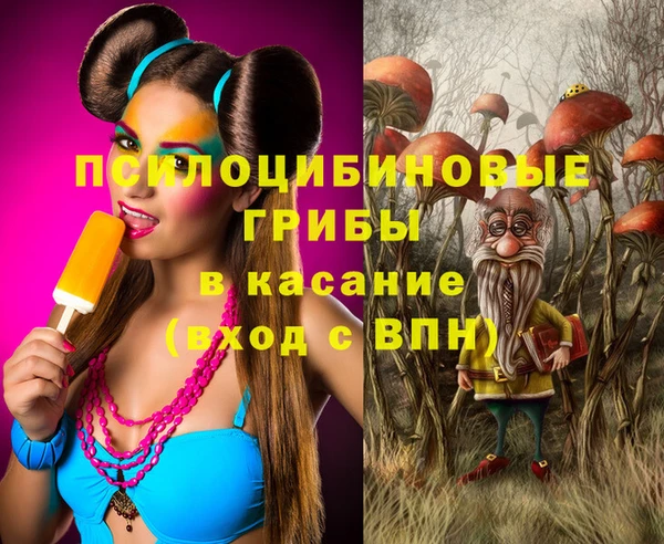 мдпв Липки