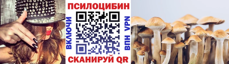 Купить  Северо-Курильск  Псилоцибиновые грибы ЛСД 